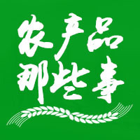 作者头像