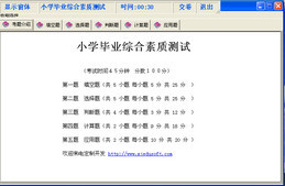 小学综合素质测试系统