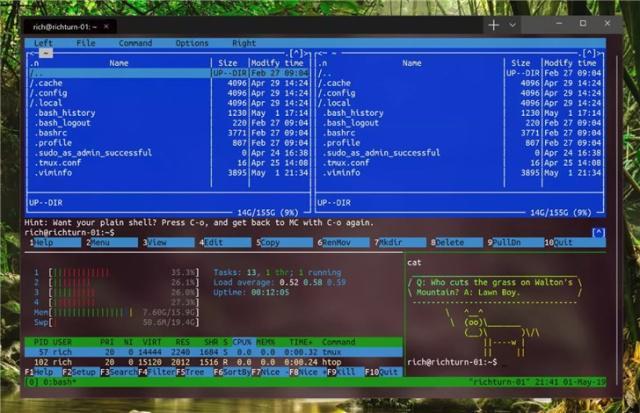 Windows Terminal