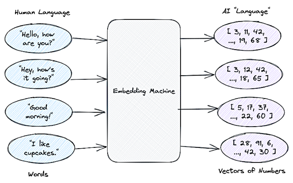 截屏2024-08-05 16.59.21