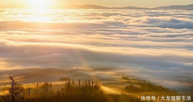 冬至的气候特点是什么