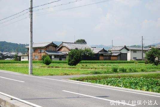 居民养老保和职工养老保