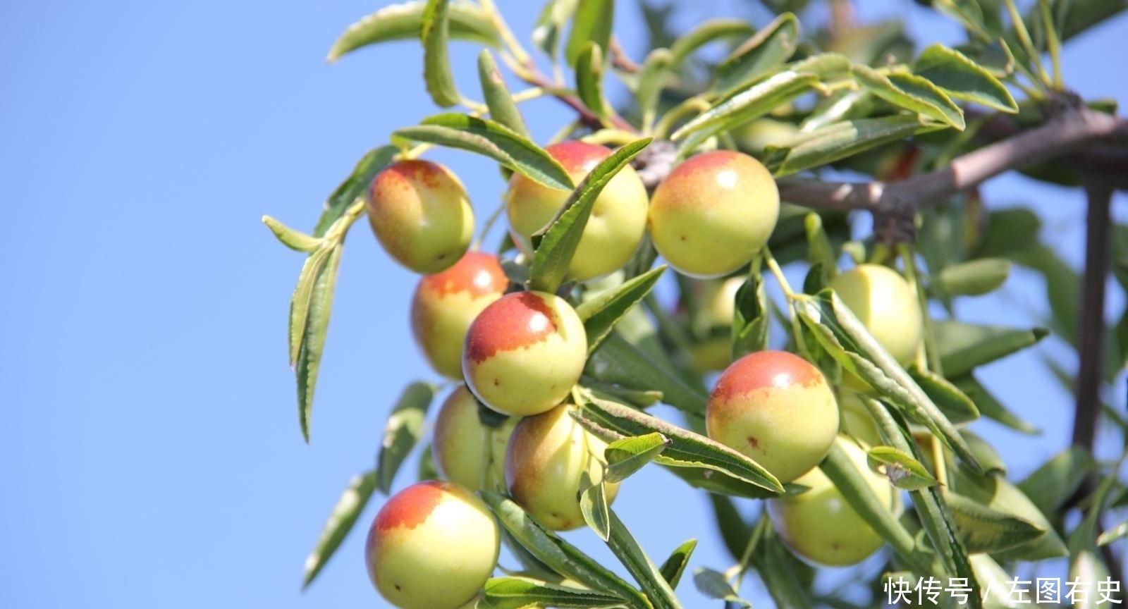 现代农业发展重点是发展