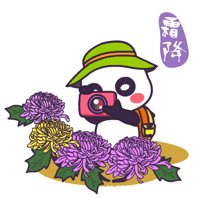 为什么微信朋友圈表情