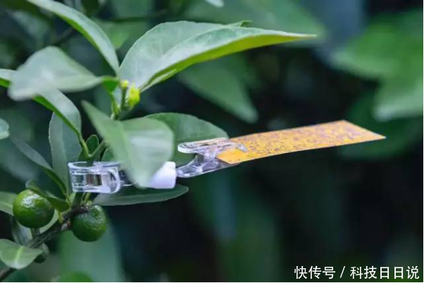 日本无人机和中国无人机