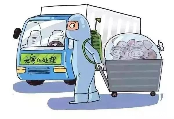 非洲非洲猪瘟疫情现状