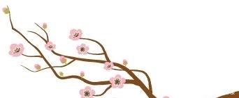 排球世界杯多少分