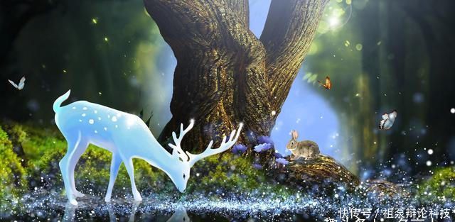 冬至大如年一起吃水饺