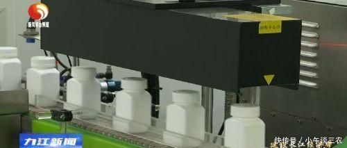 长江经济带的发展模式