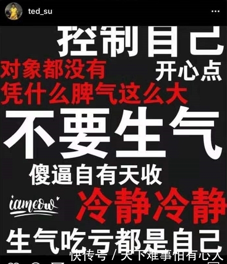 浙江广厦是什么了