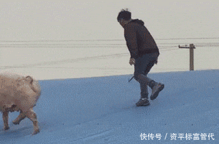 跑完马拉松是什么