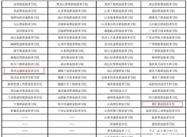 高职教育双高名单