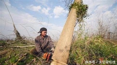 湖南中央环保督察回头看整改