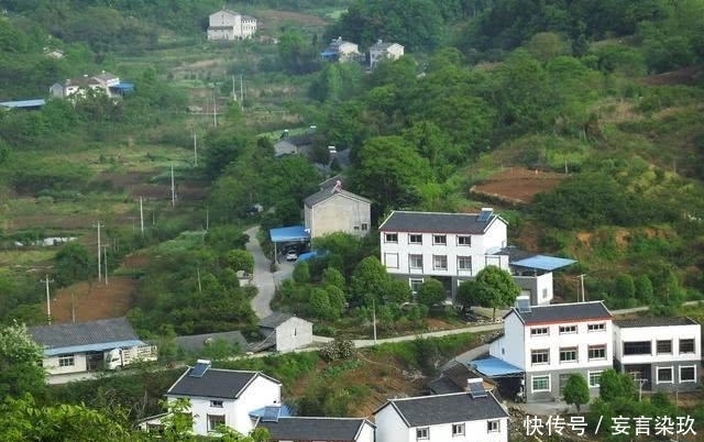 2020年农业农村工作