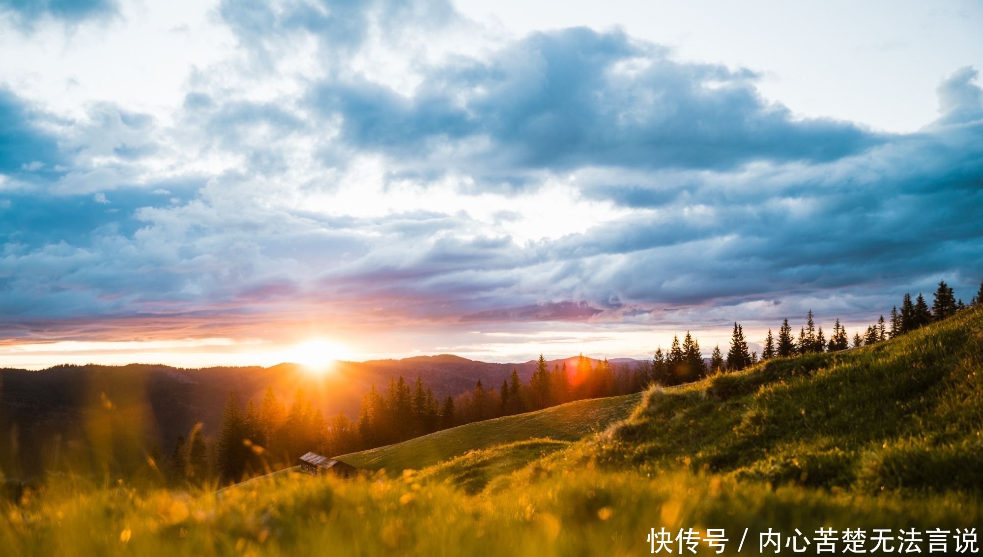 好象爱这个世界