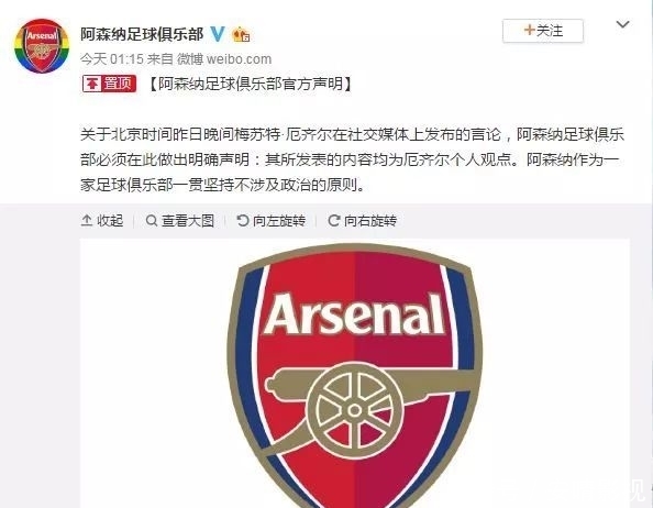 厄齐尔发了啥言论