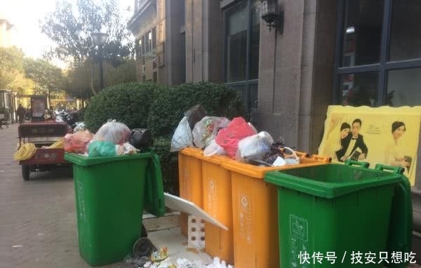 生活垃圾分类管理实行