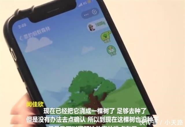 蚂蚁森林浇水一次最多