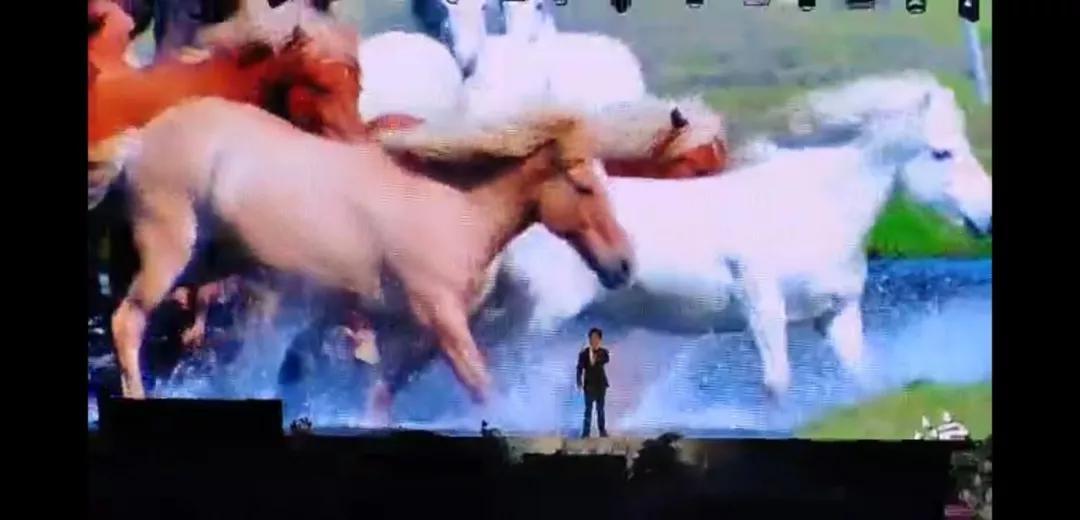 湖南元旦晚会在长沙