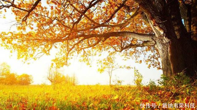 企业服务社会的