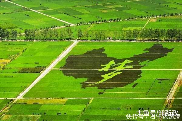 2020大学生村官招聘