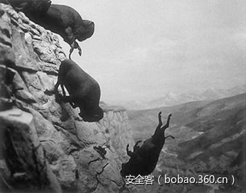 t018efb62b8d7f57fc7.png http://p4.qhimg.com/t018efb62b8d7f57fc7.png