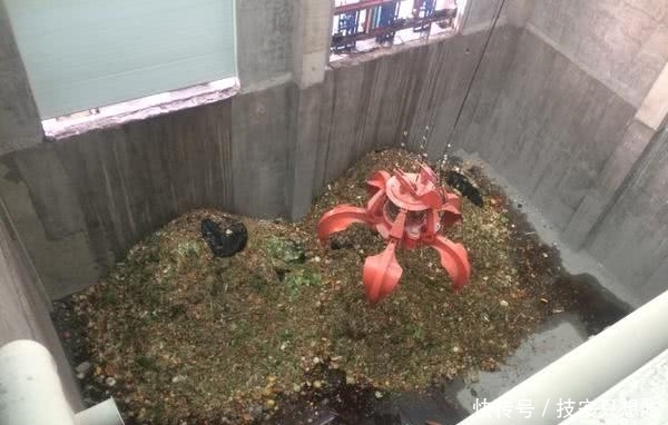 生活垃圾分类管理实行