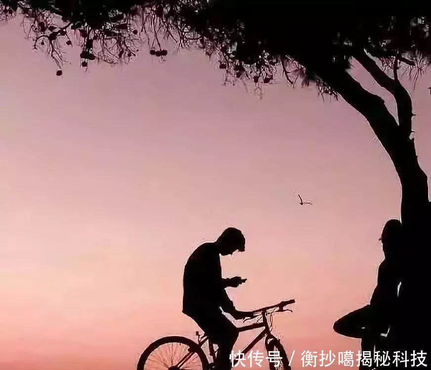 愿共黄昏粥可温