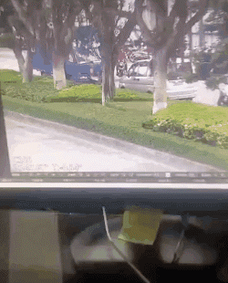 没见过这个你就