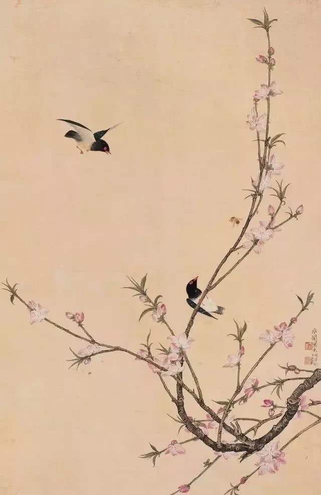 桃花什么桃花源