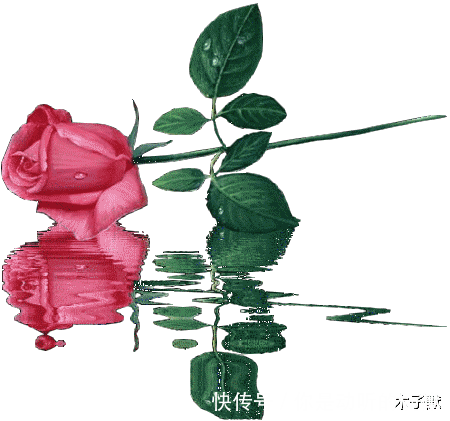 不念过往不畏将来下一句