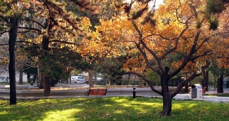 2019国家一流本科专业何时评审