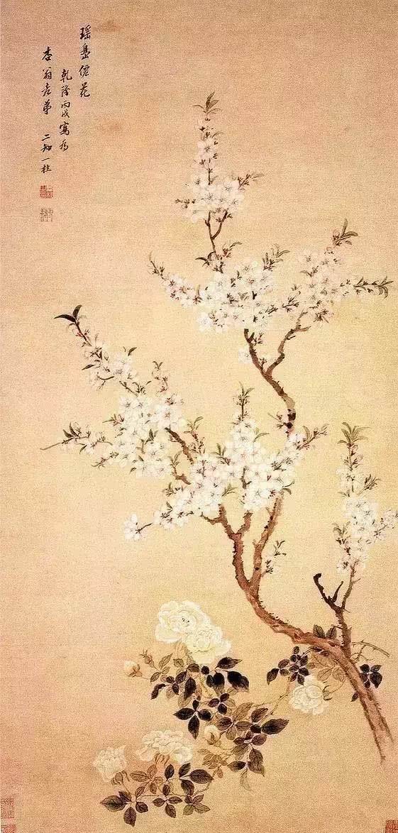 桃花什么桃花源