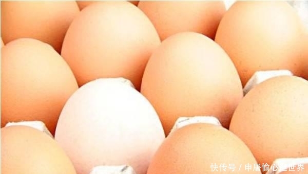 今年春节猪肉会多少钱一斤