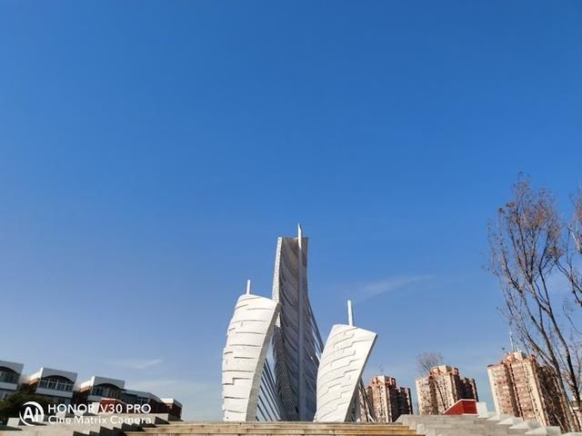 荣耀20pro与v30拍照