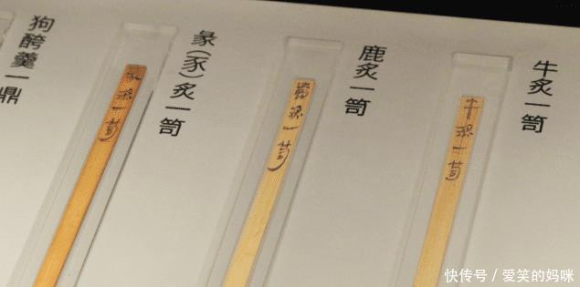 现在还有猪肉吗
