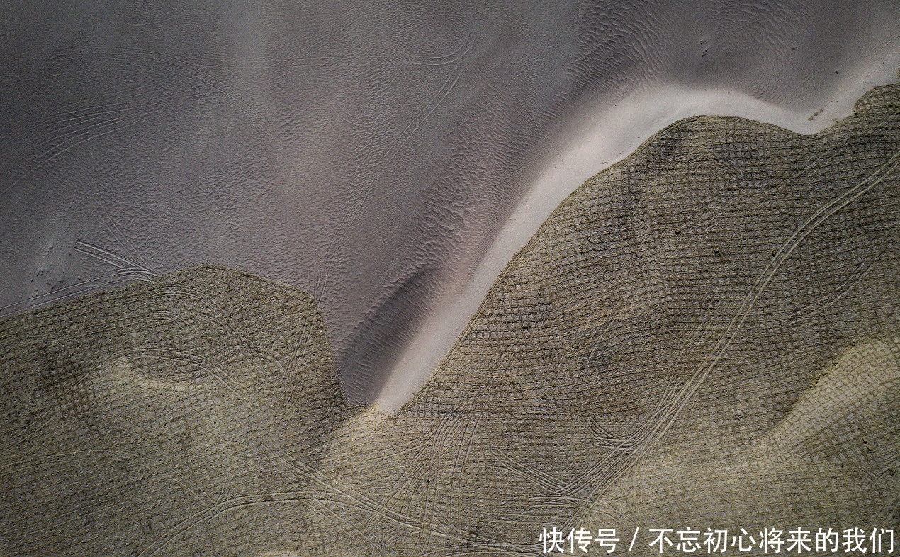 蚂蚁森林获得联合国什么奖