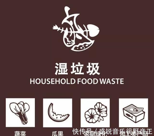 垃圾分分类的知识