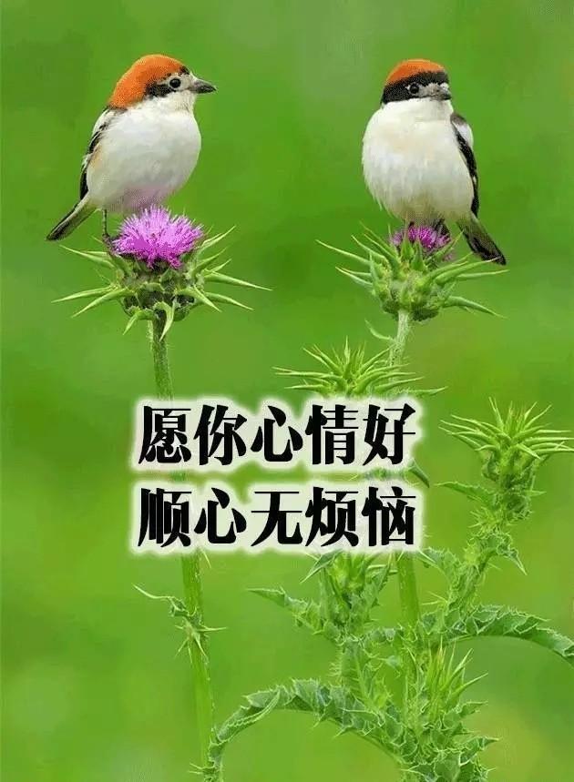 致朋友跨年的文案