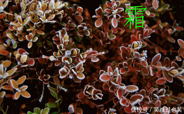 为什么微信朋友圈表情