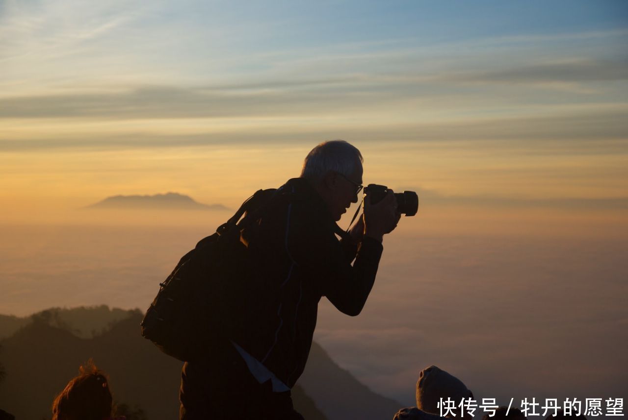 2020年2020年养老金