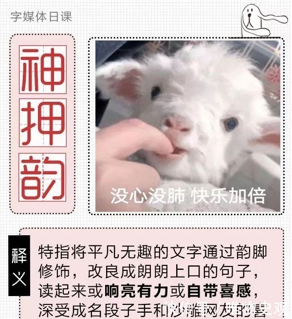 朱广权跨年网络