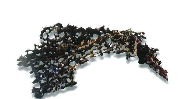 中国最早的中国人